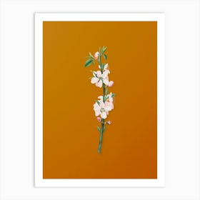Vintage Peach Flower Botanical on Sunset Orange n.0025 Art Print