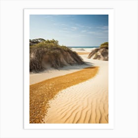 Sand Dunes On The Beach Art Print