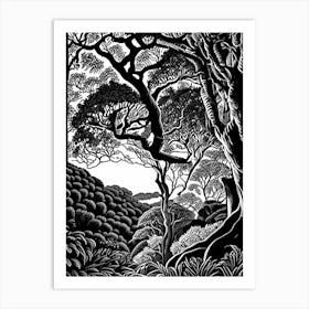 Atherton Tableland S Curtain Fig Tree, Australia Linocut Black And White Vintage Art Print