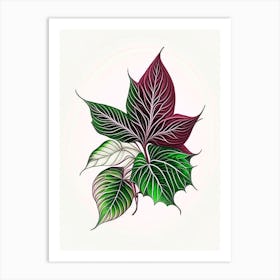 Poinsettia Contemporary Art Print