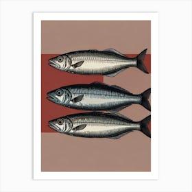 Sardines Canvas Print Art Print