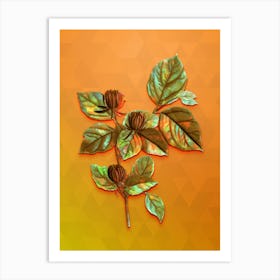 Vintage Carolina Allspice Flower Botanical Art on Tangelo n.0337 Art Print