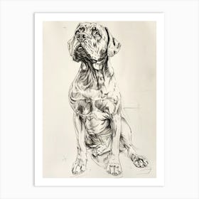 Mastiff Dog Line Sketch 2 Art Print