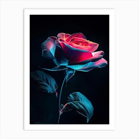 Rose In The Dark Art Print