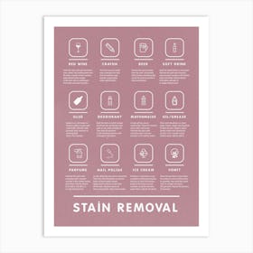 Stain Removal Instruction With Bohemian Laundry   Art Print