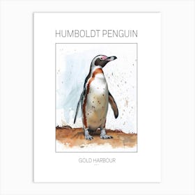 Humboldt Penguin Gold Harbour Watercolour Painting 2 Poster Art Print
