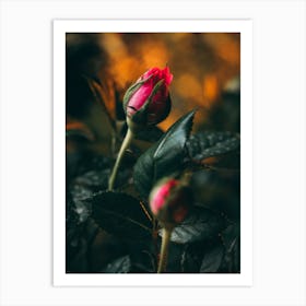 Poster Flower Art Print Art Print