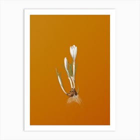 Vintage Spring Crocus Botanical on Sunset Orange Art Print