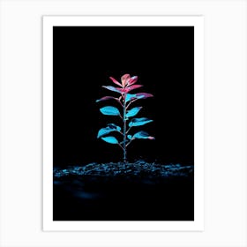 Plant In The Dark 22 Art Print