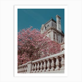 Pink Blossom In Paris Art Print