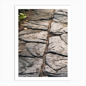 Stone Path In The Park 1 Art Print