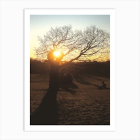 Tree Silhouette and Winter Landscape at Sunrise in Broomfield Park, London Art Print