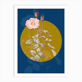 Vintage Botanical Vintage Sparkling Rose on Circle Yellow on Blue Art Print