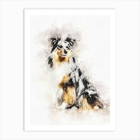 Shetland Sheepdog Art Print