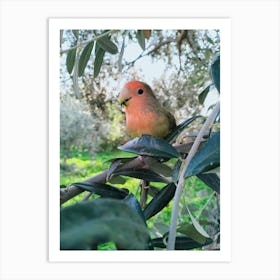 Green bird in the nature Art Print