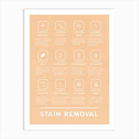 Stain Removal Instruction With Mid Century Modern Style Laundry And Stylish   Art Print
