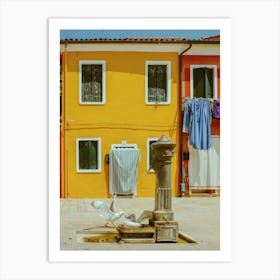 Birds Playing In Burano, Italy Art Print