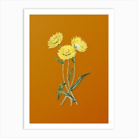 Vintage Helichrysum Flower Branch Botanical on Sunset Orange Art Print