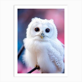 Close Up Of A White Owl With Down Soft Feathers Perched Gently On A Black Twig Smile Visible Larg Art Print