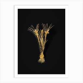 Vintage Cloth of Gold Crocus Botanical in Gold on Black n.0203 Art Print