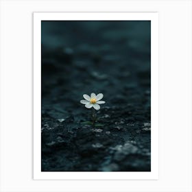 Flower On A Rock 5 Art Print