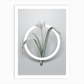 Vintage Small Flowered Pancratium Minimalist Flower Geometric Circle on Soft Gray n.0236 Art Print