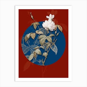 Vintage Botanical White Bengal Rose on Circle Blue on Red n.0218 Art Print