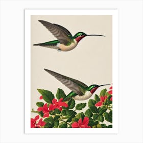Hummingbird James Audubon Vintage Style Bird Art Print