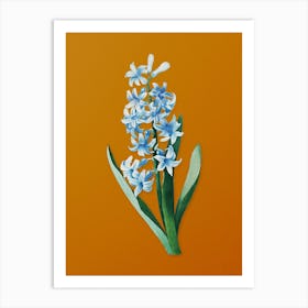 Vintage Dutch Hyacinth Botanical on Sunset Orange n.0339 Art Print
