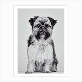 Brussels Griffon B&W Pencil Dog Art Print