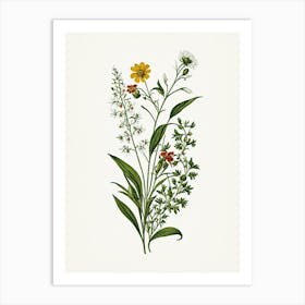 Vintage Botanical Galleria Style Wildflower Painting 41 Art Print