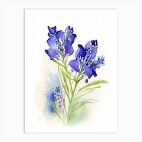 Bluebonnet Wildflower Watercolour Art Print