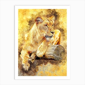 Lioness At Rest Art Print