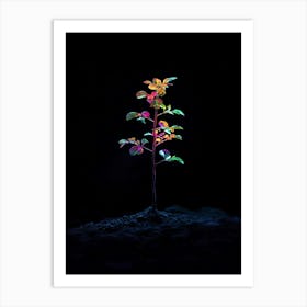 Tree In The Dark 43 Art Print