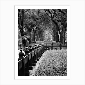 Central Park - New York USA Art Print