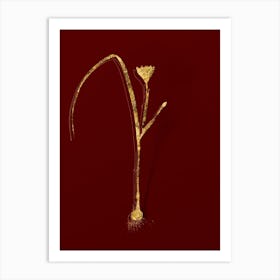 Vintage Cape Tulip Botanical in Gold on Red n.0583 Art Print