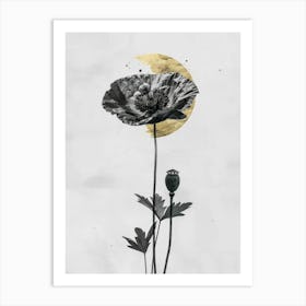 Black Poppy Art Print