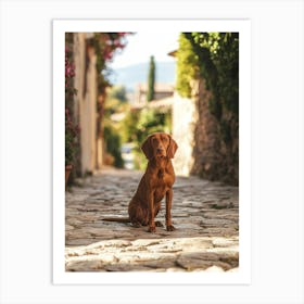 Dog Sitting On Cobblestone Street. Generated AI. Art Print Art Print