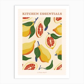 Citrus Fruit Abstract Illustration Poster 1 Art Print