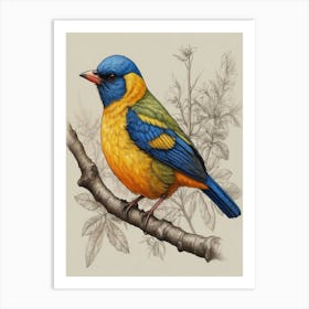 Blue And Yellow Bird Art Print