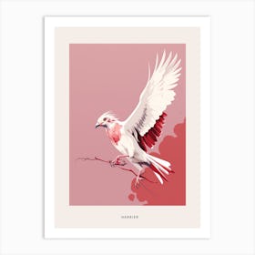 Minimalist Harrier 2 Bird Poster Art Print