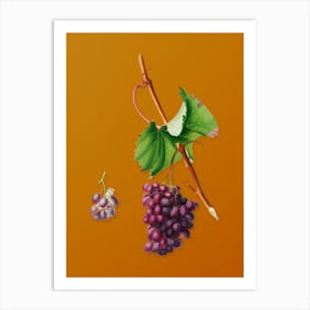 Vintage Grape Barbarossa Botanical on Sunset Orange n.0623 Art Print