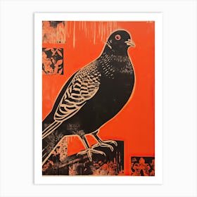 Pigeon, Woodblock Animal Drawing 2 Art Print