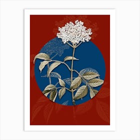 Vintage Botanical Elderflower Tree on Circle Blue on Red n.0169 Art Print