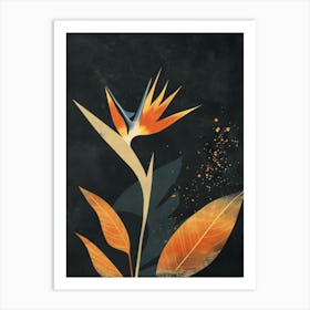 Bird Of Paradise 22 Art Print