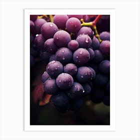 Grapes On The Vine 1 Art Print