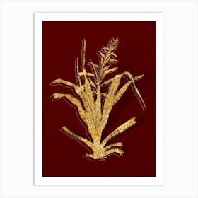 Vintage Pitcairnia Bromeliaefolia Botanical in Gold on Red n.0016 Art Print