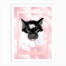 Kitty Snoozes - with a very handsome black and white cat Art Print