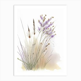 Prairie Dropseed Wildflower Watercolour 1 Art Print