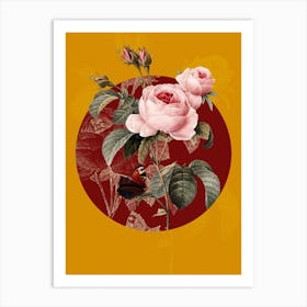Vintage Botanical Provence rose Rosa centifolia on Circle Red on Yellow n.0228 Art Print